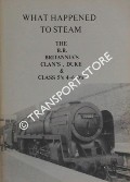 Book cover of What Happened to Steam by HANDS, Peter